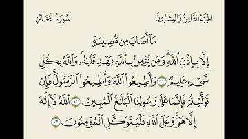 تلاوة بصوت الشيخ بدر العلي // الصف العاشر سورة التغابن ( 11-13 )