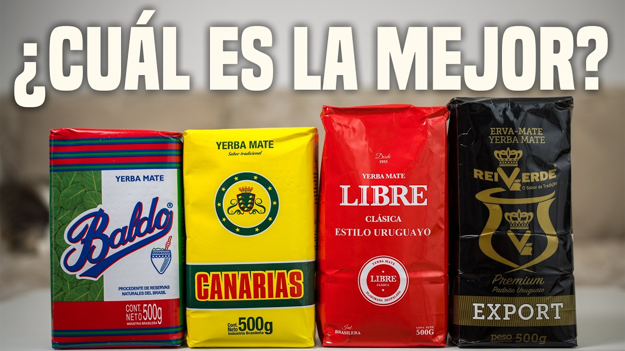 ✅ Guía DEFINITIVA de YERBAS TIPO URUGUAYAS 🇺🇾 | Canarias, Baldo, Rei Verde y Libre