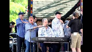 The Beach Boys - Do It Again (2012 Version)