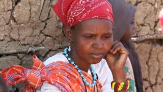 HELP - The Mobile Training Program for Community Health Workers