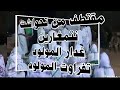 2104 تحواشت نتمغارين تفراوت المولود         