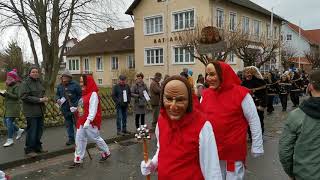 Fasnetsdienstagumzug Ergenzingen Teil 10/14  25.02.20