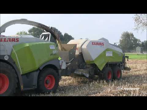Vezelhennep hakselen en in balen persen Dun Agro - video from Dun Agro Hemp Group