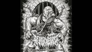 Fetal Bleeding - Consuming Human Flesh Malediction (Promo 2015)