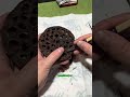 Bu Bitki Nasıl Lambaya Dönüşüyor! 🤯