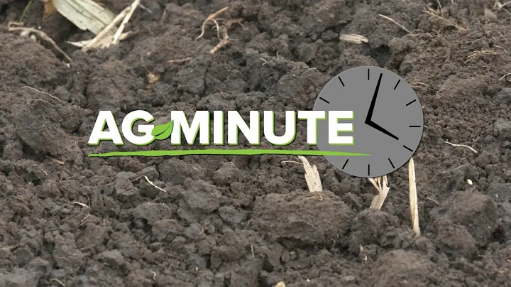 Ag Minute #1036 Calcium and Magnesium (Air Date 12-27-20)
