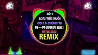 田园 - 有一种遗憾叫我们 (DJ沈念版) Có Một Loại Tiếc Nuối Gọi Là Chúng Ta (Remix Tiktok 2025) - Điền Viên