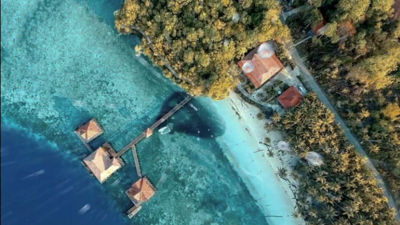 Relaxing Rainforest for Sleeping in the Derawan Island ||East Borneo