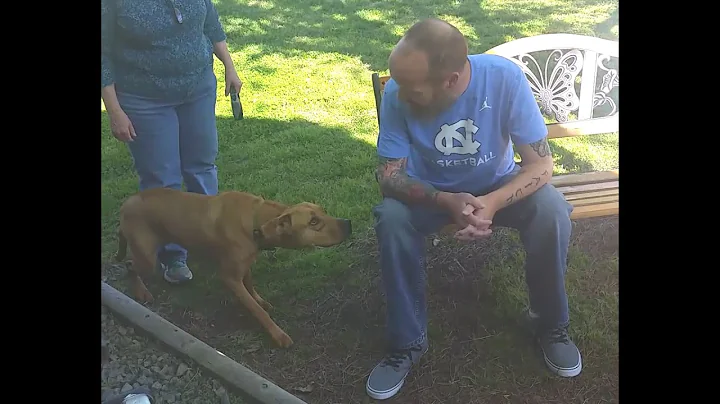 Dog Doesn't Recognize Owner After Weight Loss...Until He Sniffs Him - DayDayNews