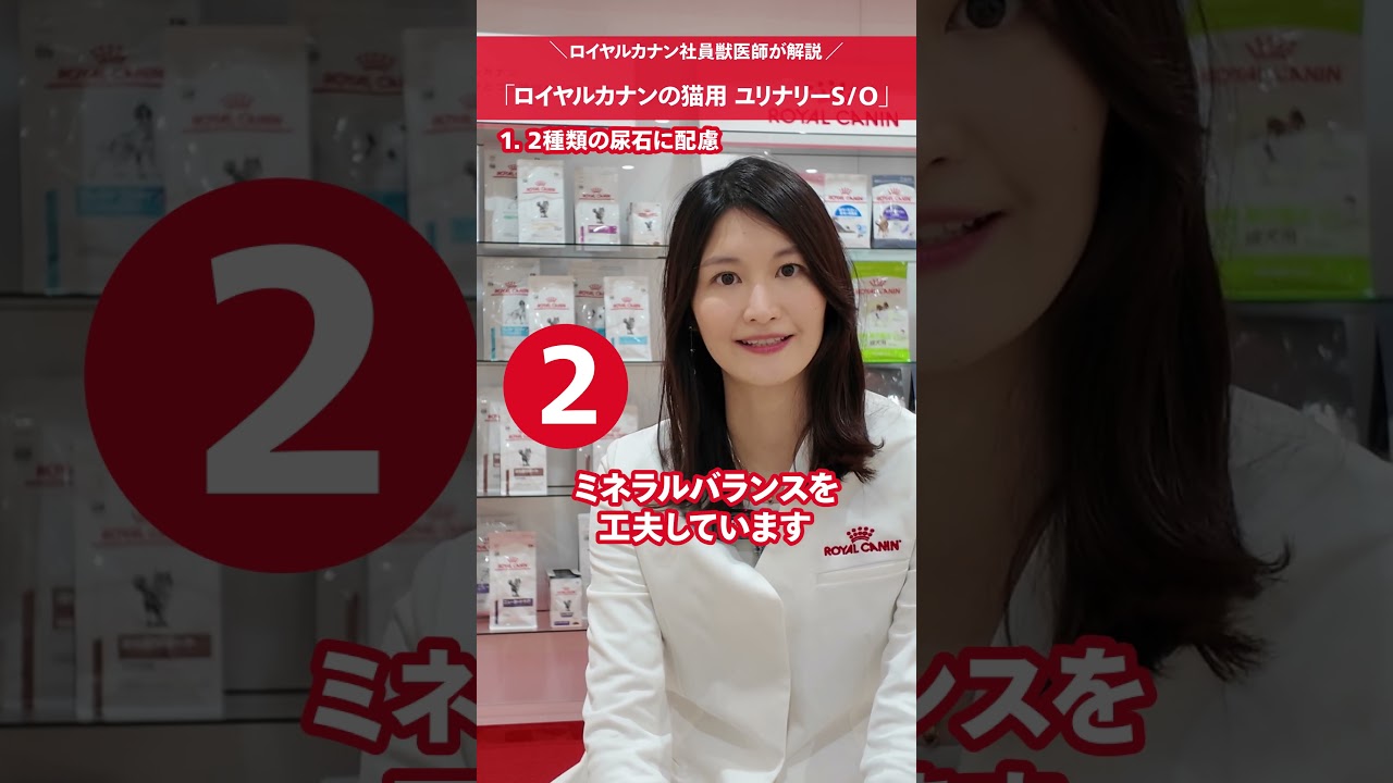 猫用ユリナリーS/Oの特徴 ロイヤルカナン社員獣医師が解説 - YouTube