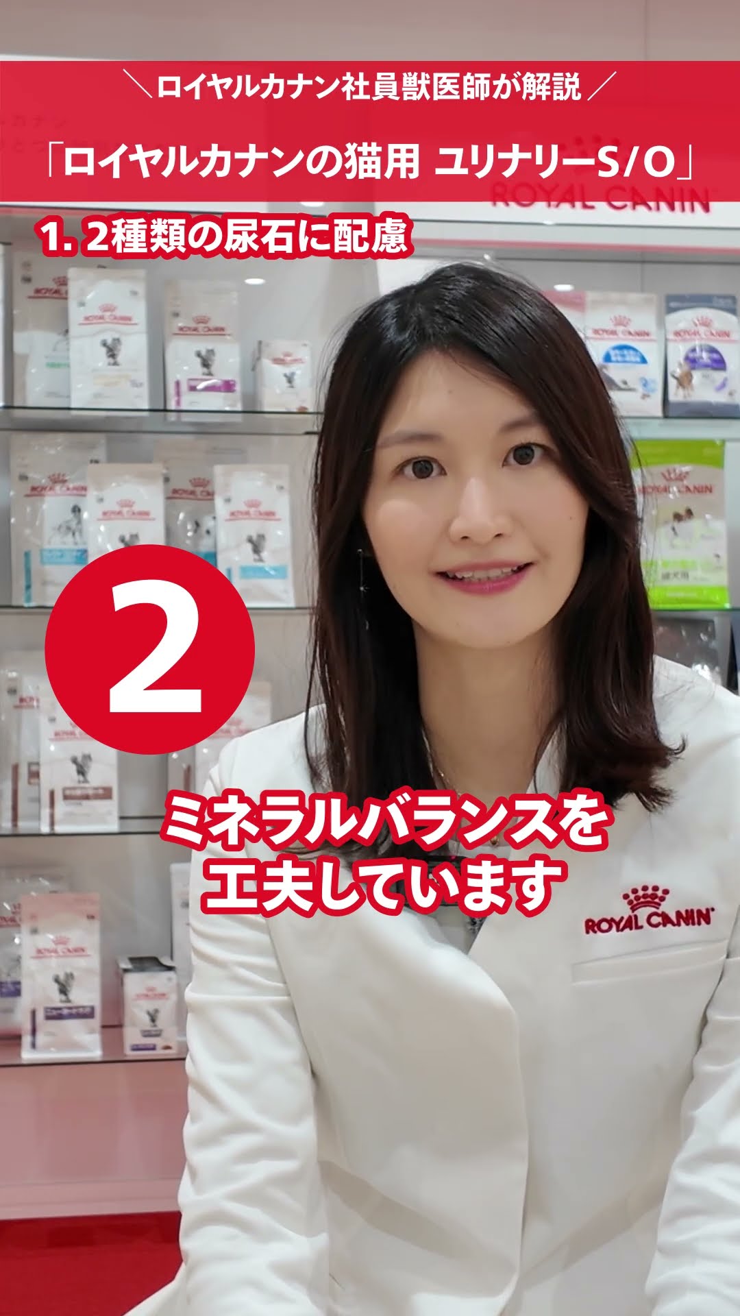 猫用ユリナリーS/Oの特徴 ロイヤルカナン社員獣医師が解説 - YouTube