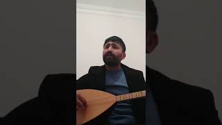 Zagros naif rabe lawo