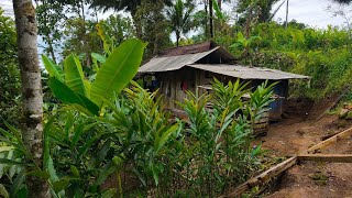Selama 30 Tahun Seorang Kakek Tinggal di Hutan Seorang Diri ‼️