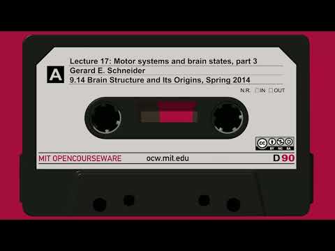 17. Motor systems and brain states, part 3 thumbnail