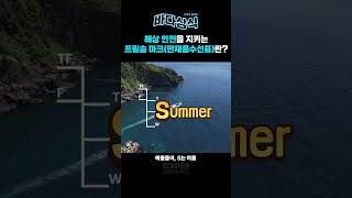 프림솔 마크(만재흘수선표), 선박 안전의 비밀! 🚢