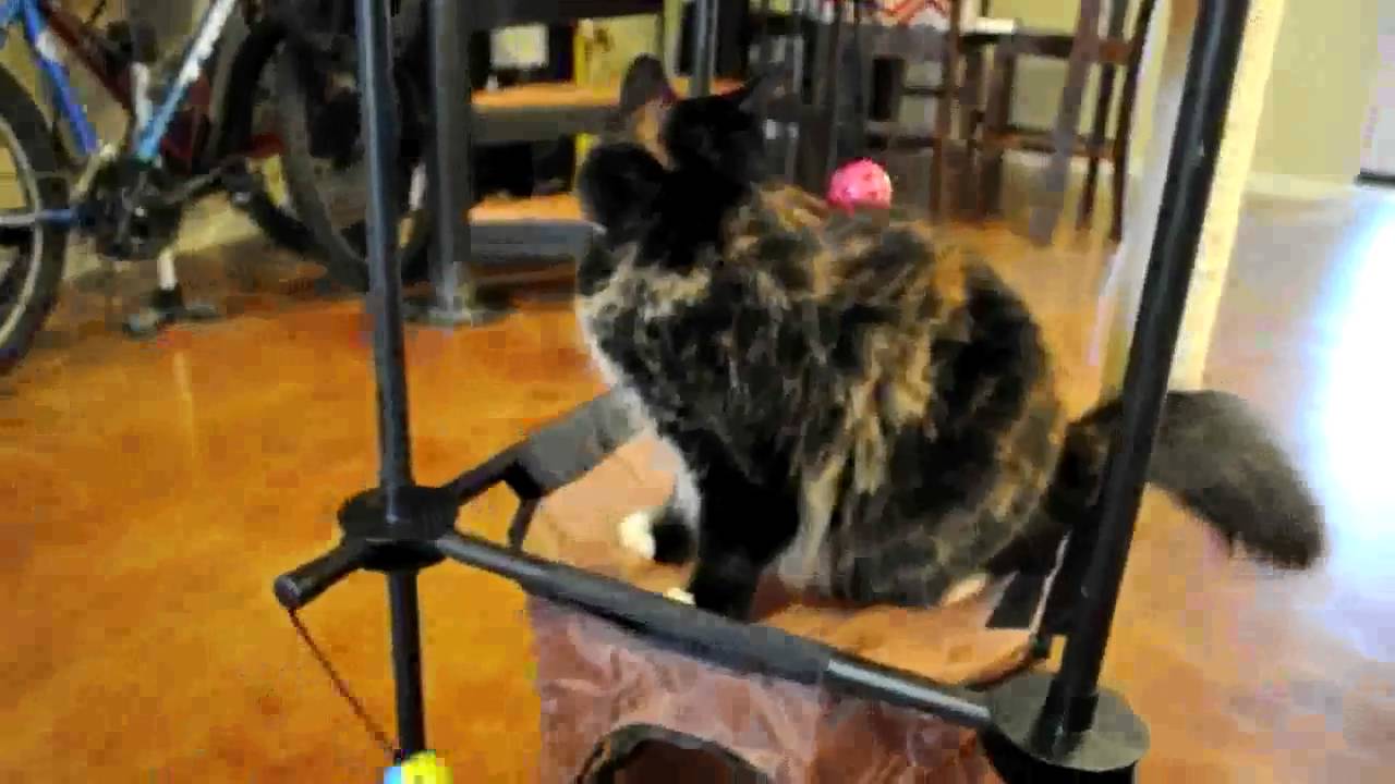 Lilah's movin' on up!