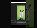 How to Remove Green Screen from video