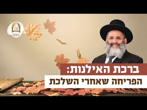 ברכת האילנות - הפריחה שאחרי השלכת | רגע של אור עם מו"ר הרב ישראל אברג'ל שליט"א