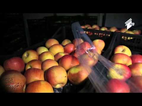 ვიდეო: როგორ შევინახოთ ბოსტნეული და ხილი