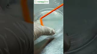Spread plate method #microbiology  #hereditybioacademy