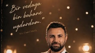 Bir Vedaya Bin Bahane Uydurdum. Öz