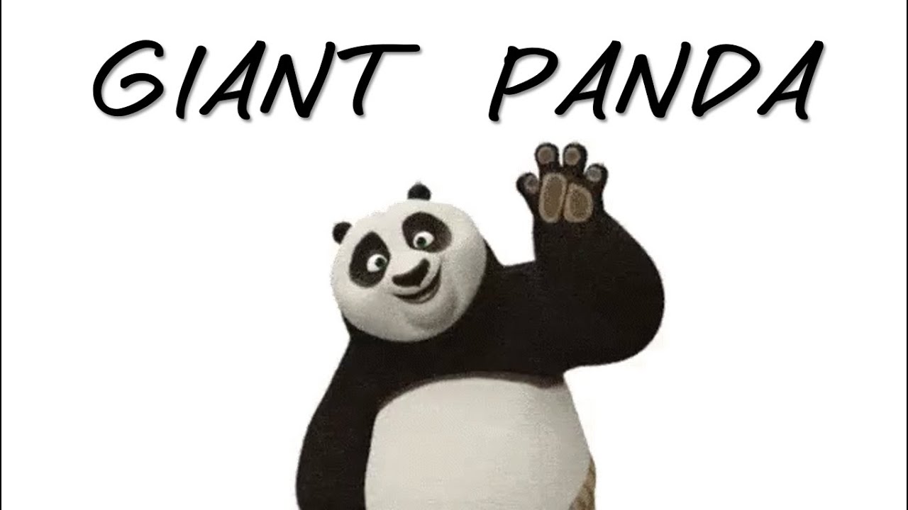 Pandas for Kids Panda Facts for Kids Learn about pandas for kids YouTube