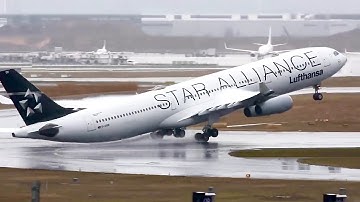 Plane Lands Too Fast With No Flaps