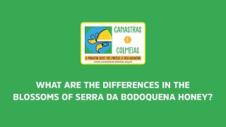 What are the differences in the blossoms of Serra da Bodoquena Honey?