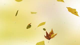 Falling Autumn Leaves Background Seamless Loop