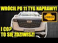 CADILLAC wrócił PO 11 TYGODNIACH NAPRAWY w Hornecie. I co? NO NIE UWIERZYSZ! image