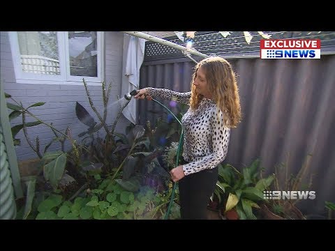 Backlash For Vegan Who Sued Neighbours Over BBQ | 9 News Perth