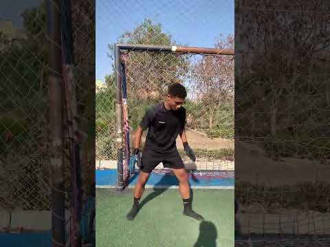 شرح الطيران لحراس المرمي