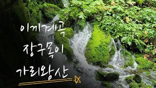 이끼계곡 장구목이 가리왕산
