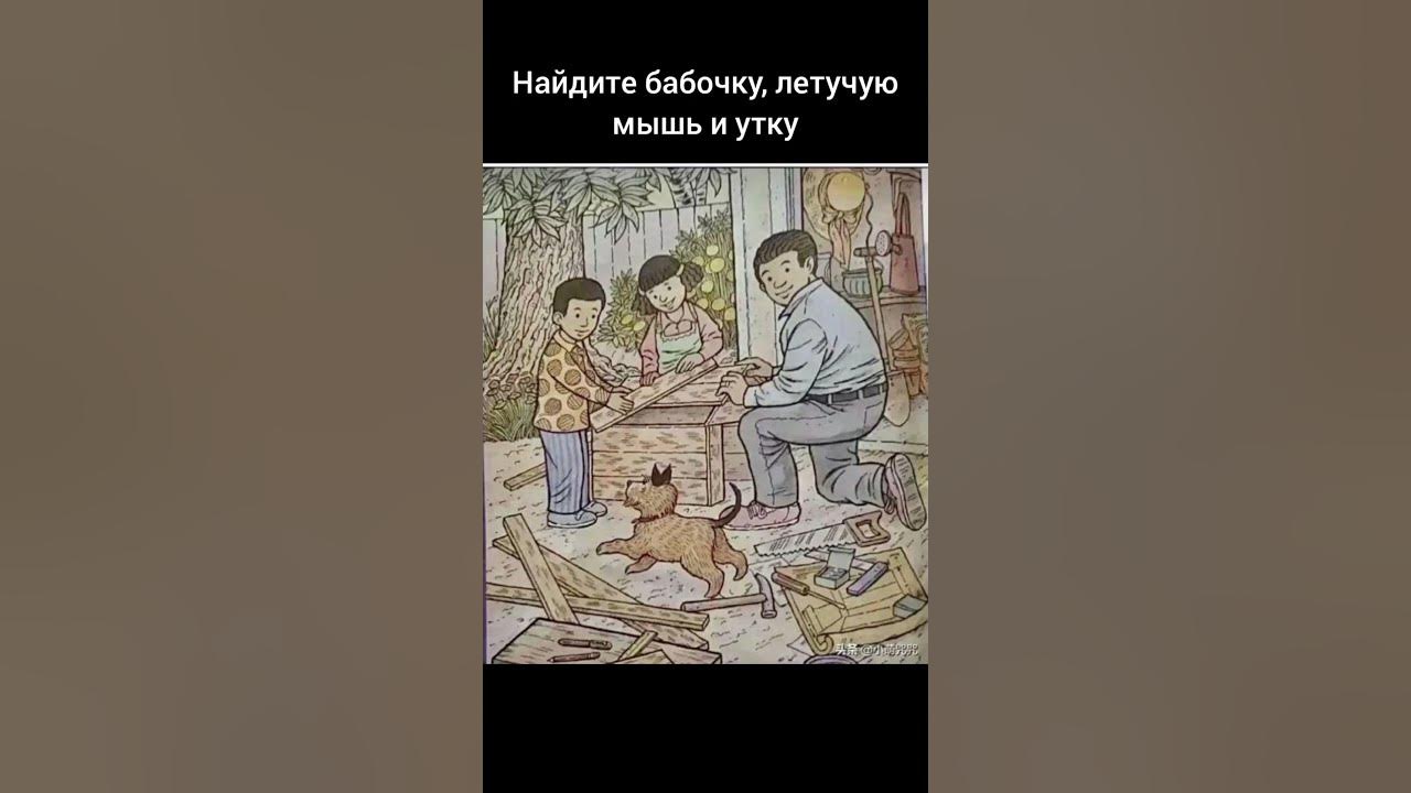 Найдите уточку бабочку и летучую мышь. Найдите уточку бабочку и летучую мышь
