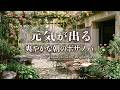 【朝カフェBGM】元気が出るボサノバBGMを充実した朝のスタートに♪|途中広告なし|Cheerful Morning Cafe Bossa Nova for Bright Start
