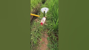 Environmentally friendly bird repellent device