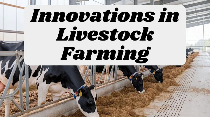 Innovations in Livestock Farming: How Tech is Improving Animal Welfare