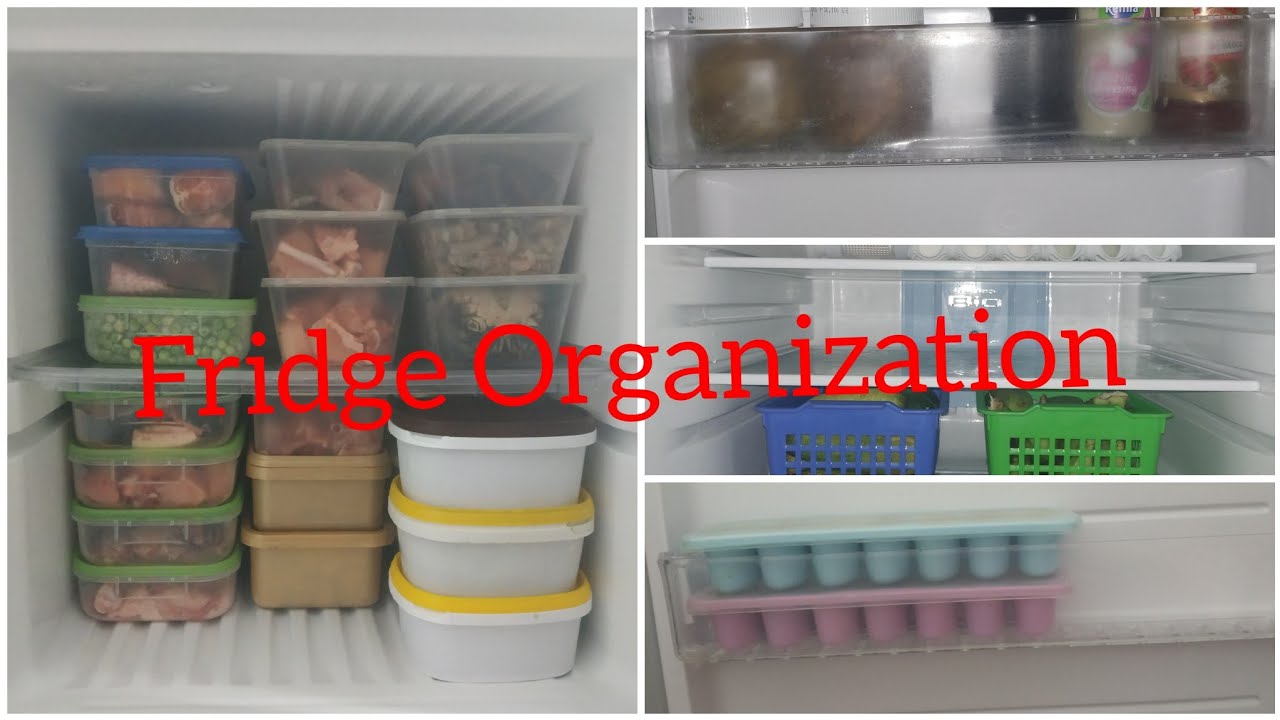 Fridge Organization/ছোট ফ্রিজ কিভাবে গুছিয়ে রাখি /Fridge Organization in Bangla /Mrs Homemaker BD