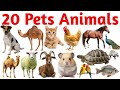 पालतू जानवरों के नाम | 20 Pets Names in English with Pictures | Kids Learning Video for Children