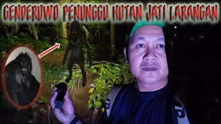 Misteri masuk sarang genderuwo ke hutan jati larangan