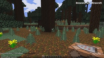 How to get command block in minecraft 1.11.2 easiest way!