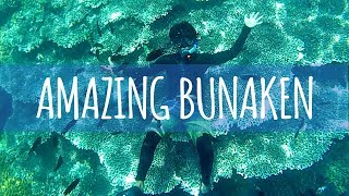 AMAZING BUNAKEN - One of the famous underwater park all over the world screenshot 5