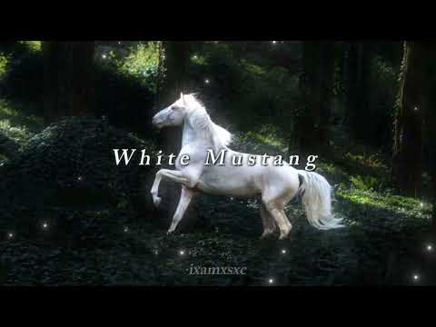 Lana Del Rey - White Mustang ( slowed + reverb )