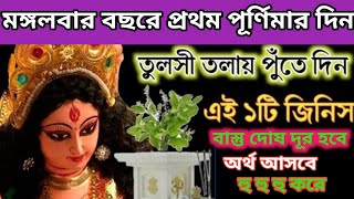 বছরের প্রথম পূর্ণিমায় পারলে তুলসী তলায় পুঁতে দিন এটি বাস্তু দোষ দূর হবে প্রচুর অর্থ আসবে।