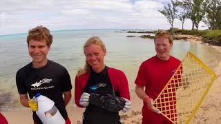 Dolphin Quest Bermuda Summer Internship