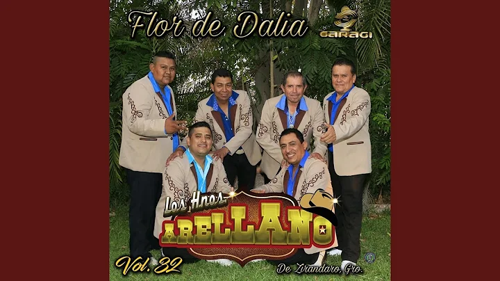 Flor de Dalia
