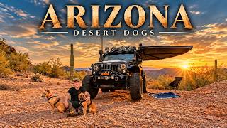 I Keep Finding Places Like This in Arizona | Desert Camping