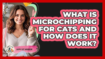What Is Microchipping For Cats And How Does It Work? - Happy Cat Handbook