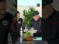 سلطة البندورة المجففة سلطة البندورة المجففة