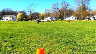 Quidditch Team at MTSU